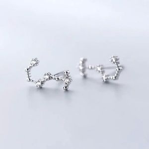 Scorpio Constellation Star Galaxy Space Astrology Zodiac Sterling Silver Earring